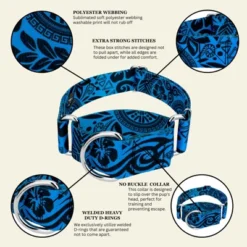 Country Brook Petz HossFit Jr Wide Martingale Dog Collar - Attitude Collection -Pet Shop GUEST 61dd1a16 8546 4195 9c42 39bf359210bf