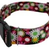 Country Brook Petz 1 1/2 Inch Deluxe Daisy Fields Dog Collar -Pet Shop GUEST 61fdde4a 55a1 4da7 9428 7ae24b4ddb9a