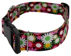 Country Brook Petz 1 1/2 Inch Deluxe Daisy Fields Dog Collar