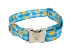 Country Brook Petz Premium Just Ducky Dog Collar -Pet Shop GUEST 633d02cc fd23 4366 a876 3e470b08874f