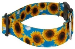 Country Brook Petz 1 1/2 Inch Deluxe Sunflowers Dog Collar 10 Country Brook Petz 1 1/2 Inch Deluxe Sunflowers Dog Collar -Pet Shop GUEST 6460f842 8b65 4c0e 9474 9f59a368a297