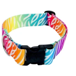 Country Brook Petz 1 1/2 Inch Fashion Zebra Dog Collar -Pet Shop GUEST 6497da6f 4775 406a 8237 2e96378b6283