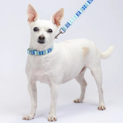 Country Brook Petz Snowy Pines Martingale Dog Collar And Leash 4 Country Brook Petz Snowy Pines Martingale Dog Collar And Leash - Image 2