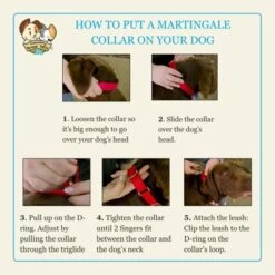 Country Brook Petz HossFit Jr Wide Martingale Dog Collar - Camouflage Collection -Pet Shop GUEST 64f1944b 1e49 40b3 90e6 e5f93a33dc00