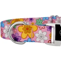 Country Brook Petz Premium May Flowers Dog Collar -Pet Shop GUEST 659f44f1 e11f 45f3 8dd1 f4e445011b51