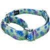 Country Brook Petz Martingale Dog Collar - Spring Collection -Pet Shop GUEST 65a2b4ce 576d 41c9 8124 4f935a46ec4b