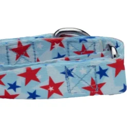 Country Brook Petz American Celebration Martingale Dog Collar (1/2 Inch, 2XS) -Pet Shop GUEST 65fba28c 6b35 457f 94c8 53ec36ce31fa