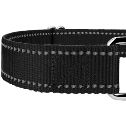 Country Brook Petz Reflective Nylon Martingale Dog Collar -Pet Shop GUEST 66098e67 fd23 48b1 abcc b59df13be4a8