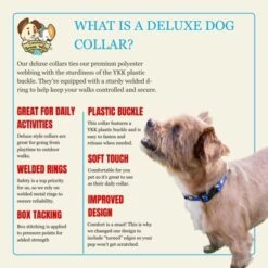 Country Brook Petz HossFit Jr Wide Deluxe Dog Collar - Americana Collection