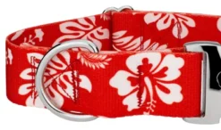 Country Brook Petz 1 1/2 Inch Premium Red Hawaiian Dog Collar -Pet Shop GUEST 67624373 baac 4b1b 9202 c414ce2dccd8