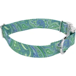 Country Brook Petz Premium Green Paisley Collar And Leash -Pet Shop GUEST 67c1ab0e 3efb 40e2 8c86 0b079f56f0dd