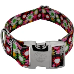 Country Brook Petz 1 1/2 Inch Premium Daisy Fields Dog Collar -Pet Shop GUEST 67daada9 7768 4b4b ae0a ca8db487a43f