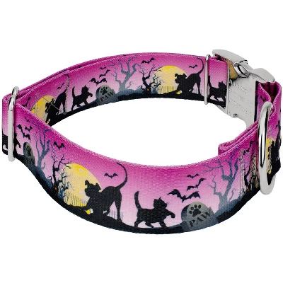 Country Brook Petz HossFit Jr Wide Premium Dog Collar - Halloween Collection 4 Country Brook Petz HossFit Jr Wide Premium Dog Collar - Halloween Collection - Image 2
