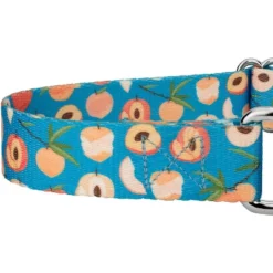 Country Brook Petz Peaches Martingale Dog Collar 12 Country Brook Petz Peaches Martingale Dog Collar -Pet Shop GUEST 689a4358 c877 467b bc78 6ce86a638319
