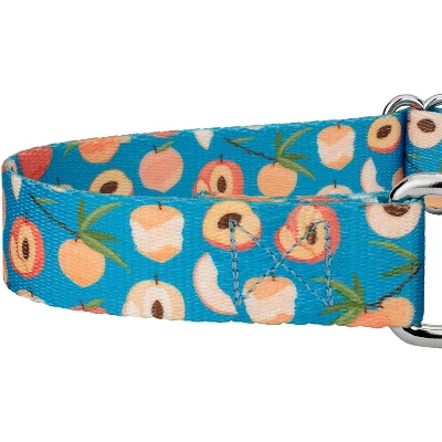 Country Brook Petz Peaches Martingale Dog Collar 5 Country Brook Petz Peaches Martingale Dog Collar - Image 3