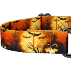 Country Brook Petz Midnight Fright Gunmetal Martingale Dog Collar (1 Inch, Large) -Pet Shop GUEST 68a193e9 f4be 4d8d b65e 00417464f986