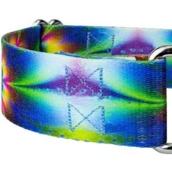 Country Brook Petz 2 Inch Tie Dye Flowers Martingale Dog Collar -Pet Shop GUEST 68d25920 a0e9 4dff aa6f 2c03c7f60940