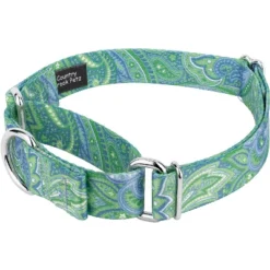 Country Brook Petz Martingale Collar And Leash - Paisley Collection 18 Country Brook Petz Martingale Collar And Leash - Paisley Collection -Pet Shop GUEST 6931d2ad 7106 4d28 a982 b4cbfd0b0cfd 1