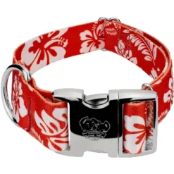 Country Brook Petz 1 1/2 Inch Premium Red Hawaiian Dog Collar -Pet Shop GUEST 697ee6bc eb7b 4ed1 995b 00abb23cc46a