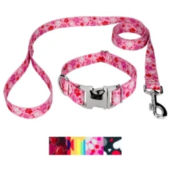 Country Brook Petz Premium Dog Collar And Leash - Affection Collection -Pet Shop GUEST 69e797f0 b021 422d 8d43 42d76f602d7b