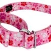 Country Brook Design Puppy Love Martingale Dog Collar 1 Country Brook Design Puppy Love Martingale Dog Collar -Pet Shop GUEST 6a547381 c8b9 448c ab98 04000a1e6c6c