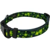 Country Brook Petz Deluxe Dog Collar - Irish Pride Collection -Pet Shop GUEST 6ac53f8e cc8d 42d5 b6dc ad47c80b8f0e