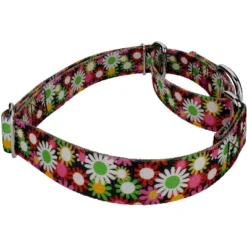 Country Brook Petz Daisy Fields Martingale Dog Collar 15 Country Brook Petz Daisy Fields Martingale Dog Collar -Pet Shop GUEST 6b973097 bb66 42b5 ade8 7557c88b0e86
