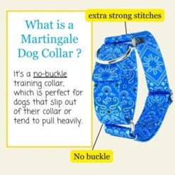 Country Brook Petz HossFit Jr Wide Martingale Dog Collar - Country And Western Collection