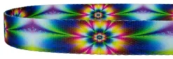 Country Brook Design® 1 Inch Tie Dye Flowers Dog Leash - 6 Foot -Pet Shop GUEST 6c0d8f76 4fce 454a b56a 1d9d7d00d246