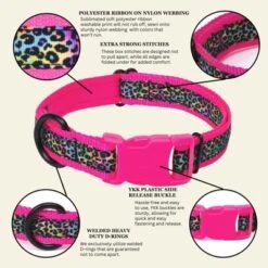 Country Brook Petz Deluxe Ribbon Dog Collar, Bright Spirits Collection -Pet Shop GUEST 6c78d803 2895 4534 9fa0 79dd09ffea94