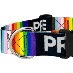 Country Brook Petz 1 1/2 Inch Deluxe Pride Dog Collar -Pet Shop GUEST 6cd8ec8b 14c5 4350 9916 a25ba3cbda58