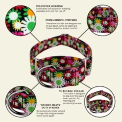 Country Brook Petz HossFit Jr Wide Martingale Dog Collar - Floral Collection -Pet Shop GUEST 6cdf37db e8bd 4a7b 9475 90f71164b0a1