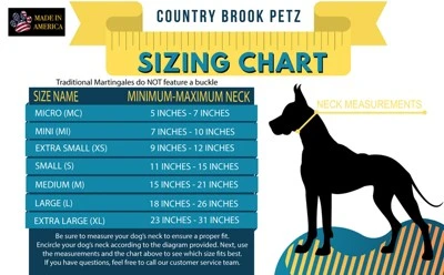 Country Brook Petz Just Ducky Martingale Dog Collar 3 Country Brook Petz Just Ducky Martingale Dog Collar