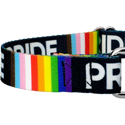 Country Brook Petz Pride Martingale Dog Collar 5 Country Brook Petz Pride Martingale Dog Collar - Image 3