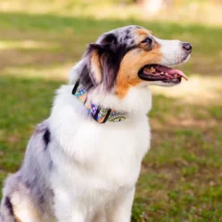 Country Brook Petz 1 1/2 Inch Deluxe Yellow Boho Mandala Dog Collar -Pet Shop GUEST 6dac5105 e900 4961 ac34 b526738b08b4