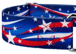 Country Brook Petz 1 1/2 Inch Star Spangled Martingale Dog Collar 9 Country Brook Petz 1 1/2 Inch Star Spangled Martingale Dog Collar -Pet Shop GUEST 70189b0b 211f 4b6f a95d c49d61ffccb8