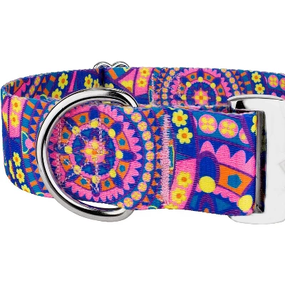 Country Brook Petz HossFit Jr Wide Premium Dog Collar - Groovy Collection 6 Country Brook Petz HossFit Jr Wide Premium Dog Collar - Groovy Collection - Image 4