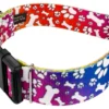 Country Brook Petz 1 1/2 Inch Deluxe Trippy Doggo Dog Collar