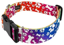 Country Brook Petz 1 1/2 Inch Deluxe Trippy Doggo Dog Collar