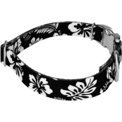 Country Brook Petz Premium Dog Collar And Leash - Summer Breeze Collection -Pet Shop GUEST 71fe4bbd 8ef3 400d b3f0 fa1b2fd956a9