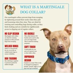 Country Brook Petz HossFit Jr Wide Martingale Dog Collar - Paisley Collection 16 Country Brook Petz HossFit Jr Wide Martingale Dog Collar - Paisley Collection -Pet Shop GUEST 727f4dcb d607 494e b001 69453ac3085b