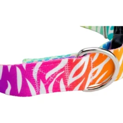 Country Brook Petz 1 1/2 Inch Fashion Zebra Dog Collar -Pet Shop GUEST 72ed33e4 0ec4 481f 89f4 98f77827d26b