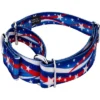 Country Brook Petz - Star Spangled Martingale Dog Collar 2 Country Brook Petz - Star Spangled Martingale Dog Collar -Pet Shop GUEST 73540020 c3a9 4a9d 997e b960d9e78174