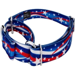 Country Brook Petz - Star Spangled Martingale Dog Collar
