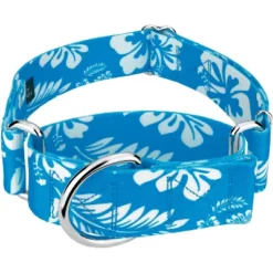 Country Brook Petz 1 1/2 Inch Blue Hawaiian Martingale Dog Collar -Pet Shop GUEST 7376ee85 24c1 46f6 9efe 19a12a7d7023