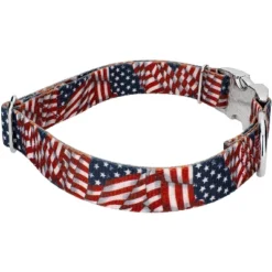 Country Brook Petz Premium Patriotic Tribute Collar And Leash 12 Country Brook Petz Premium Patriotic Tribute Collar And Leash -Pet Shop GUEST 73c3c35e 33f4 4a3c b87c 3c07bde62d6b 1