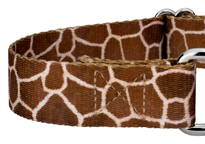 Country Brook Petz Giraffe Martingale Dog Collar 8 Country Brook Petz Giraffe Martingale Dog Collar - Image 6