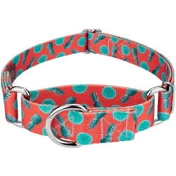 Country Brook Petz Tropical Tango Martingale Dog Collar -Pet Shop GUEST 75d52ca6 17a4 45e1 bb68 6c292740c19e