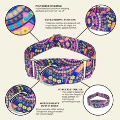 Country Brook Petz HossFit Jr Wide Martingale Dog Collar - Groovy Collection -Pet Shop GUEST 764ff7b1 8728 41e8 b486 86ecc1431ab7