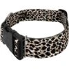 Country Brook Petz HossFit Jr Wide Deluxe Dog Collar - Animal Print Collection 1 Country Brook Petz HossFit Jr Wide Deluxe Dog Collar - Animal Print Collection -Pet Shop GUEST 76b853e8 00a0 40a0 8d78 89ae1e5a7bc8